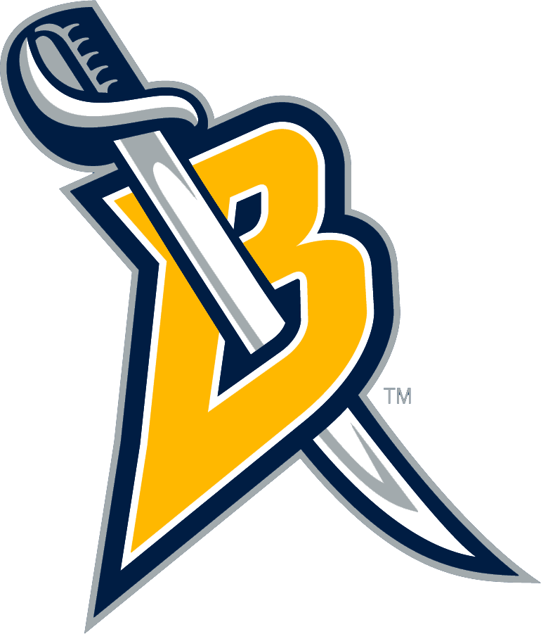 Buffalo Sabres 2006-2012 Alternate Logo fabric transfer